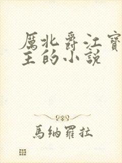 厉北爵江宝宝男主的小说