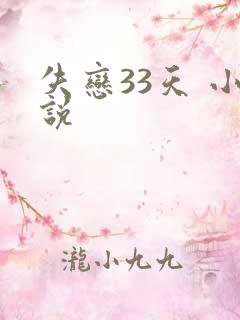 失恋33天 小说