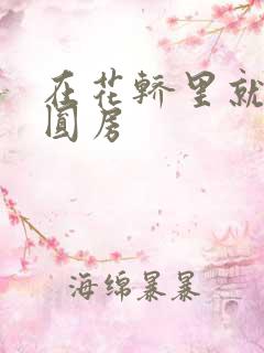 在花轿里就开始圆房