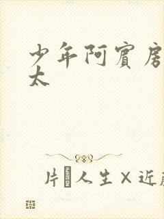 少年阿宾房东太太