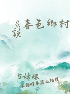 《春色乡村》小说