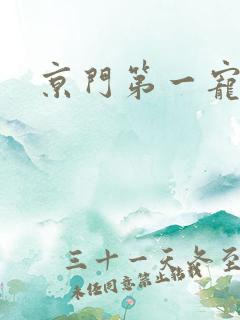 京门第一宠