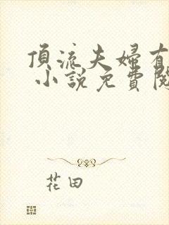 顶流夫妇有点甜 小说免费阅读