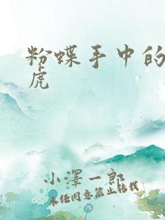 粉蝶手中的纸老虎