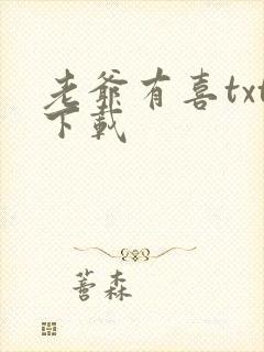 老爷有喜txt下载