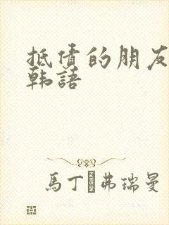 抵债的朋友麦子韩语