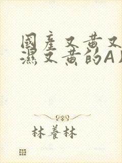 国产又黄又硬又湿又黄的A片小说