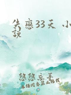 失恋33天 小说