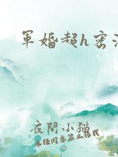军婚超h密液