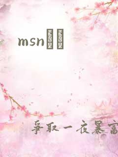 msnС˵