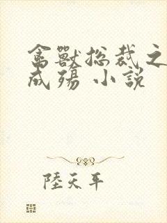 禽兽总裁之虐爱成殇 小说