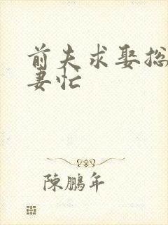 前夫求娶总裁追妻忙