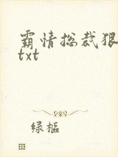 霸情总裁狠狠爱txt