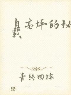 月亮坪的秘密下载