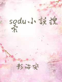 sodu小说搜索