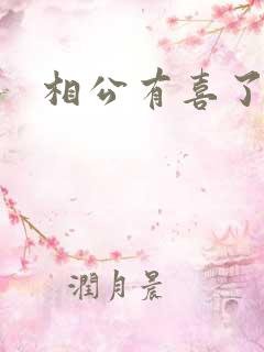 相公有喜了