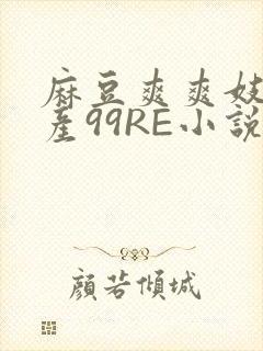 麻豆爽爽妓女国产99RE小说