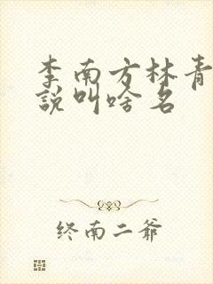 李南方林青青小说叫啥名