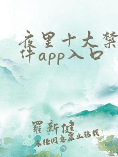 夜里十大禁用软件app入口