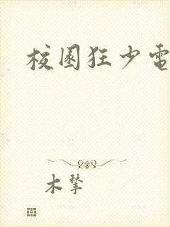 校园狂少电子书