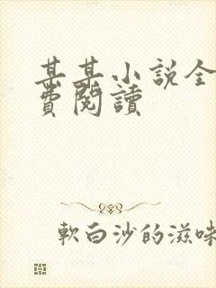 某某小说全文免费阅读