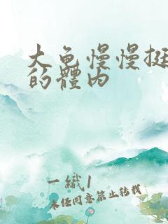 大龟慢慢挺进我的体内