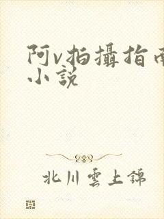 阿v拍摄指南说小说