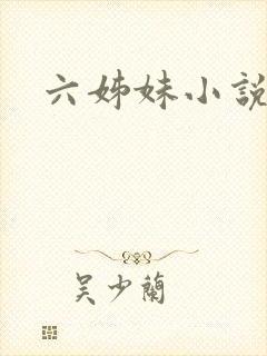 六姊妹小说
