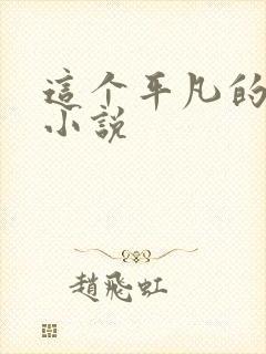 这个平凡的男子小说