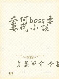 奈何boss要娶我小说