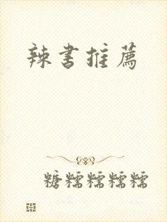 辣书推荐