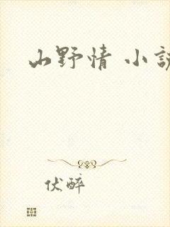 山野情 小说