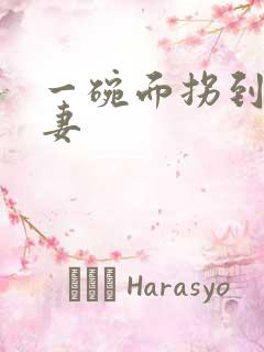 一碗面拐到美艳妻