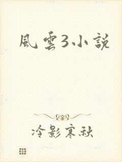 风云3小说