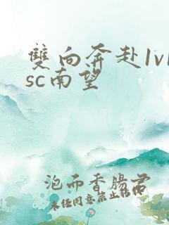 双向奔赴1v1sc南望