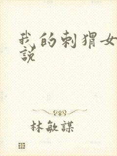 我的刺猬女孩小说