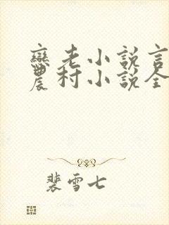 恋老小说言情网农村小说全文阅读