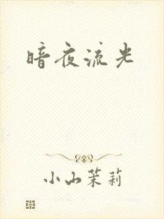 暗夜流光
