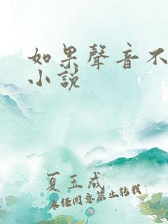 如果声音不记得小说