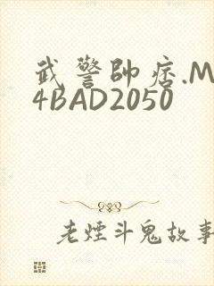 武警帅痞.MP4BAD2050