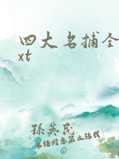 四大名捕全集txt