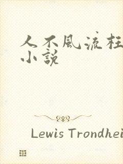 人不风流枉少年小说