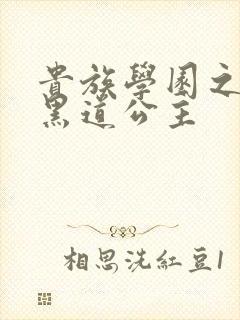 贵族学园之我的黑道公主