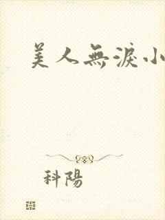 美人无泪小说