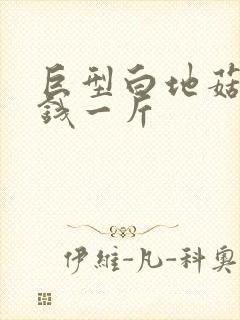 巨型白地菇多少钱一斤