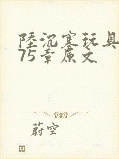 陆沉塞玩具高速75章原文