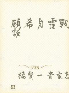 顾希月霍战霆小说