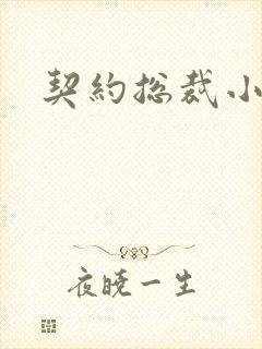 契约总裁小萌宝