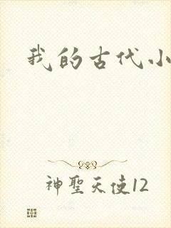 我的古代小夫侍