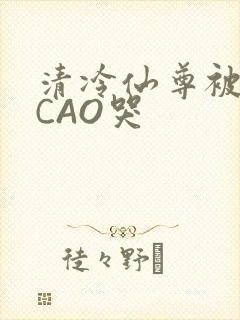 清冷仙尊被强制CAO哭